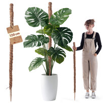 Podpora Do Roślin Kwiatów 120cm Palik Kokosowy 4,5 Tyczka Pałka Do Monstery