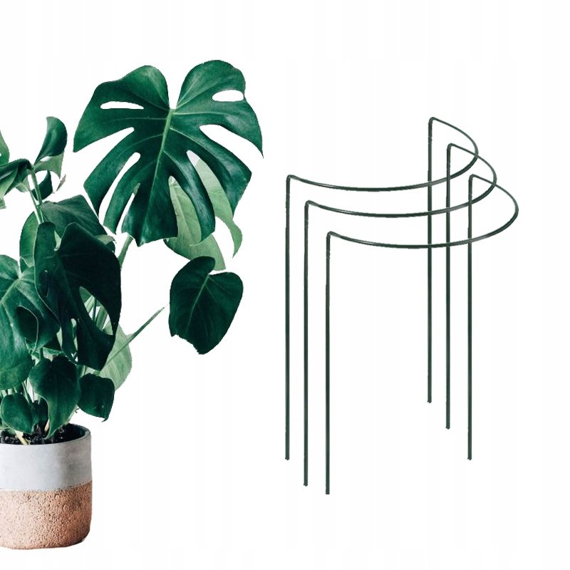 Podprka do monstery 45 cm zielona 3 sztuki metal / GardenPlus - GardenPlus  | Sklep EMPIK.COM