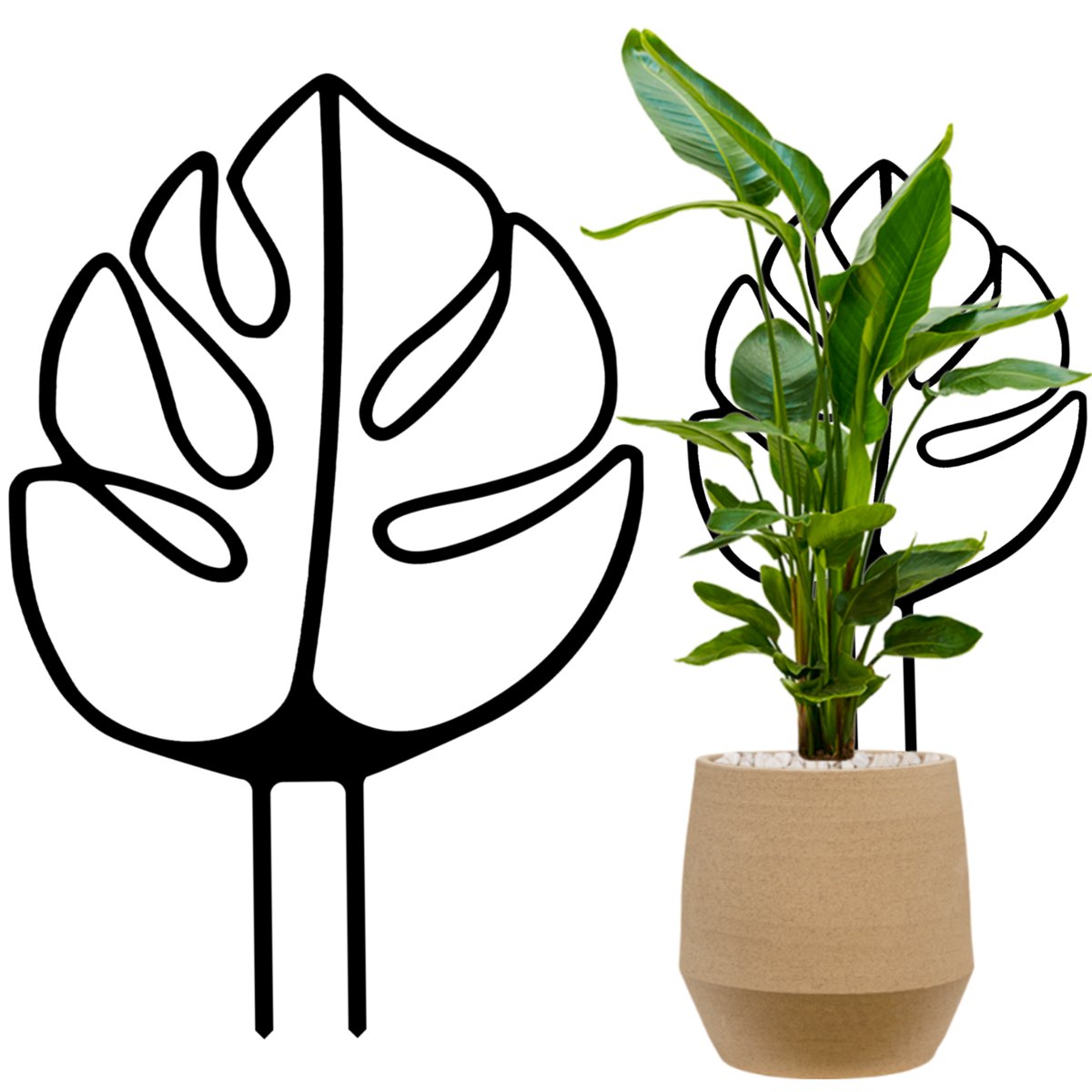 Podprka do rolin MONSTERA SHAPE 31,5 cm - czarna li dekoracyjna  drabinka kwiatowa pncza doniczkowa wsparcie - Nelips | Sklep EMPIK.COM