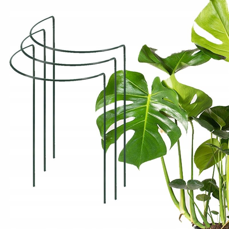 philodendron rosa Philodendron Pink Princess Houseplant with Planter - Medium ( 7