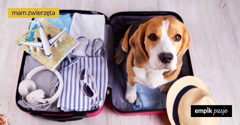 Podróż z psem za granicę – paszport i inne formalności, o których trzeba pamiętać