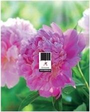 Podstawka zdzierak uniwersalna MIX ARTSEZON - Inna marka