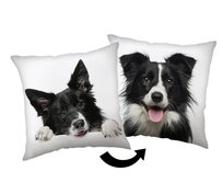 Poduszka 40x40 Border Collie biaa czarna