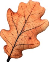 Poduszka jesienny Liść Dębu Dąb