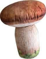 Poduszka leśny Grzyb Borowik Prawdziwek