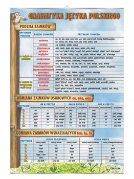 Podział Zaimków, Odmiana Zaimków Język Polski - VISUAL System | Sklep ...