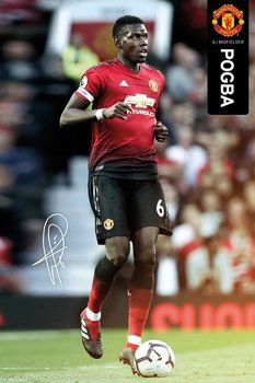 POGBA plakat 61x91cm - GB eye