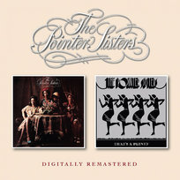 プロモ盤 Pointer Sisters Having a Party mqdefault.jpg