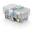 POJEMNIK DO ŻYWNOŚCI MIKROCZĄSTKI SREBRA 350ml x 3&nbsp;-&nbsp;ORPLAST