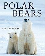 Polar Bears - Rosing Norbert