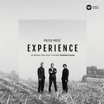 Polish Music Experience - Various Artists