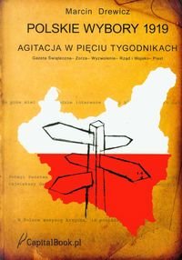 Polskie wybory 1919. Agitacja w pięciu tygodnikach - Drewicz Marcin
