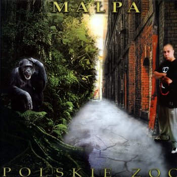 Polskie ZOO - Małpa