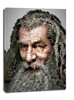 POLYamory - Gandalf, Władca Pierścieni - obraz na płótnie 20x30 cm - Galeria Plakatu