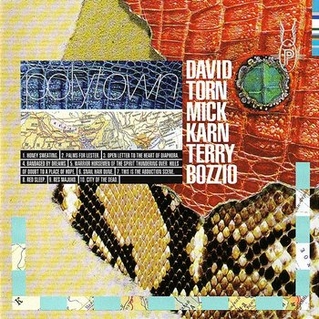 Polytown - DAVID TORN, Mick Karn, Terry Bozzio