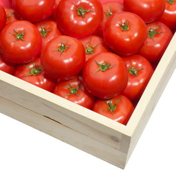 Pomidor 6kg - Inna marka