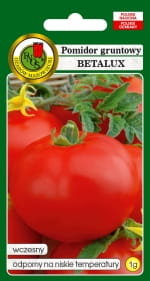 Pomidor Gruntowy Betalux Nasiona Bez Gmo - PNOS