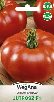Pomidor Jutrosz F1 0,2g nasiona - WegAna - WegAna
