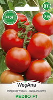 Pomidor Pedro mieszaniec (F1) 0,1g nasiona - WegAna