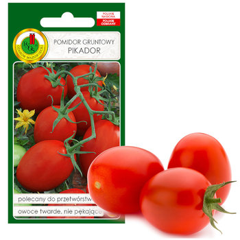 Pomidor Pikador Twardy Na Ketchup Nasiona Bez Gmo - PNOS