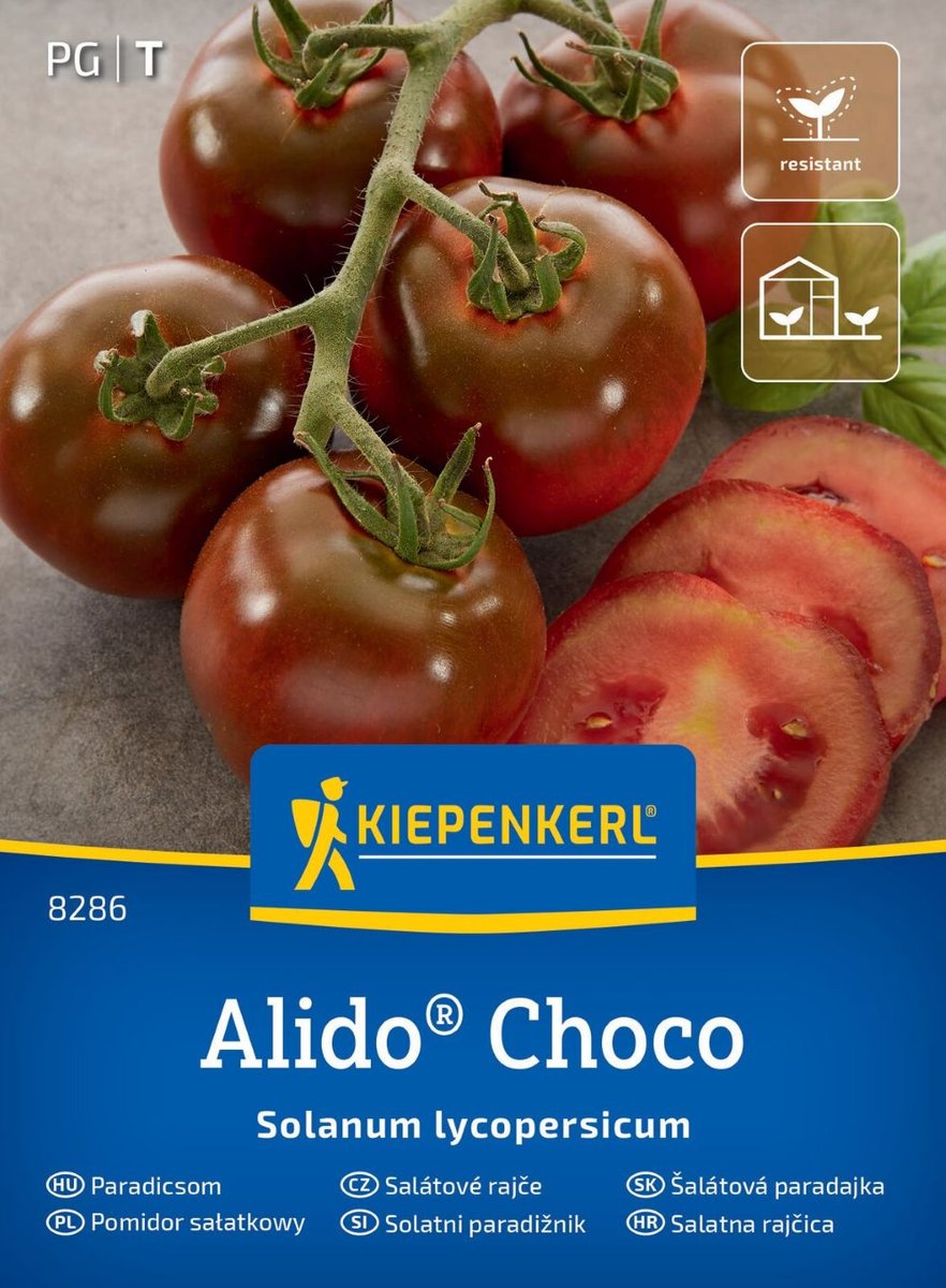 Pomidor sałatkowy Alido Choco