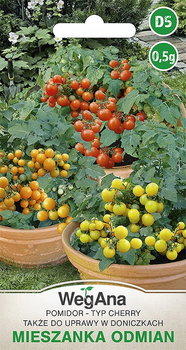 Pomidor typ Cherry mieszanka odmian 0,5g nasiona - WegAna - WegAna