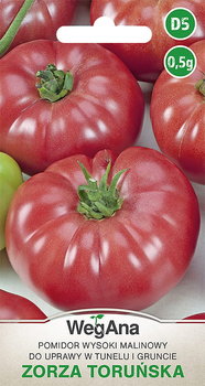 Pomidor Zorza Toruńska 0,5g nasiona - WegAna - WegAna