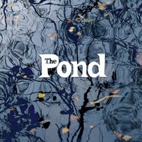 Pond Pond