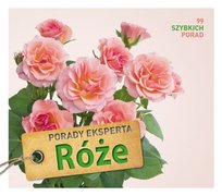 Porady eksperta. Róże Proll Thomas