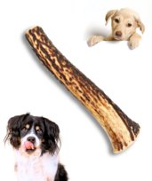 POROŻE JELENIA M HARD | gryzak DLA PSA naturalny | twardy przysmak dla średniego psa / BIOTOP