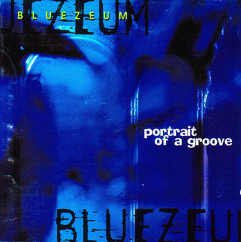 Portrait Of A Groove - Bluezeum