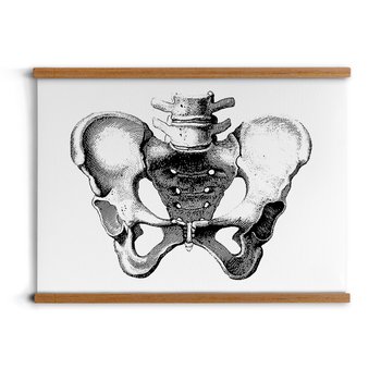 poster z zawieszką A2 dekoracja Szkic ciało kości, ArtprintCave - ArtPrintCave