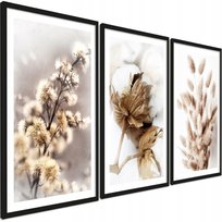 PosterPlanet 3 szt Foto-Obrazy BOHO Zdjęcia Beżowe Trawy + ramka 45/65 cm