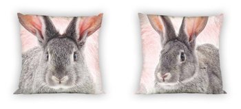 Poszewka 40x40 bawełniana dwustronna na jasiek królik króliczek - Faro