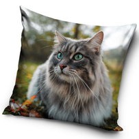 Poszewka 40x40 KOT z kotem