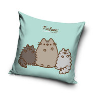 Poszewka na PODUSZKĘ KOTEK Pusheen Miękka  40x 40 cm Dziecięca VELVET Koteczek