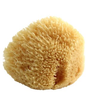 Poupy, Naturalna Gąbka morska dla dzieci i niemowląt - Poupy