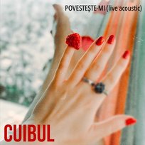 Povestește-mi Cuibul