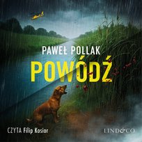 Nowości i bestsellery audiobooki