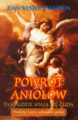 Powrót Aniołów. Prawdziwe Historie Niebiańskich Spotkań - Anderson Joan