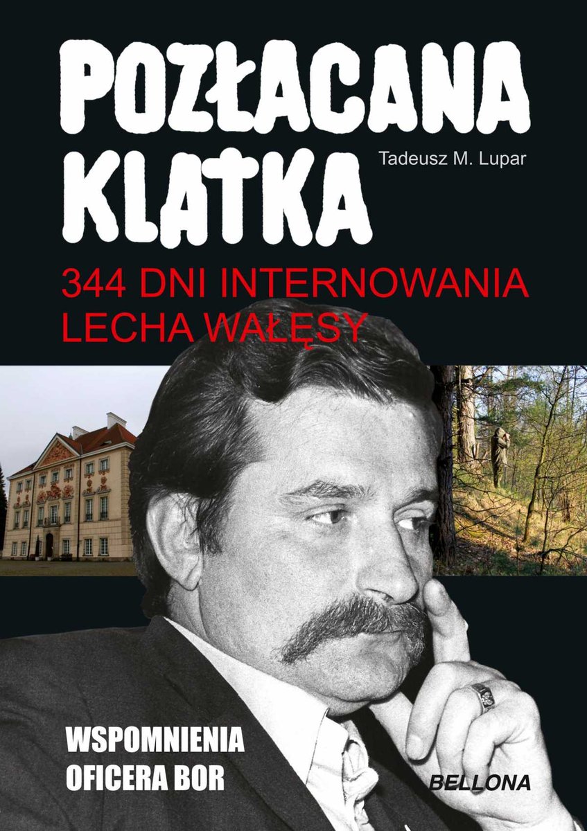 Pozłacana klatka - ebook mobi
