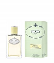 prada infusion de gingembre