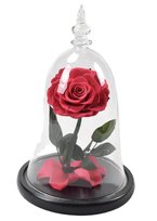 Prawdziwa Czerwona Róża W Szklanej Kopule