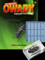 Prawdziwe Owady Pajęczaki i Inne Robaki Reedycja