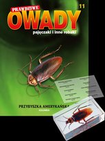 Prawdziwe Owady Pajęczaki i Inne Robaki Reedycja