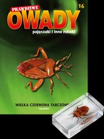 Od dziś w sprzedaży