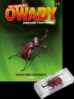 Prawdziwe Owady Pajęczaki i Inne Robaki Reedycja