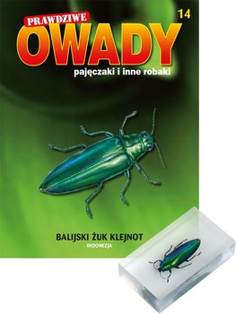 Prawdziwe Owady Pajęczaki i Inne Robaki Reedycja