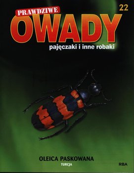 Prawdziwe Owady Pajęczaki i Inne Robaki Reedycja