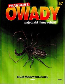 Prawdziwe Owady Pajęczaki i Inne Robaki